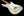 Fender GC 15th Anniversary 50’s Strat Journeyman