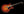 Collings I-35 LC