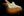 Fender Parallel Universe Strat-Tele Hybrid