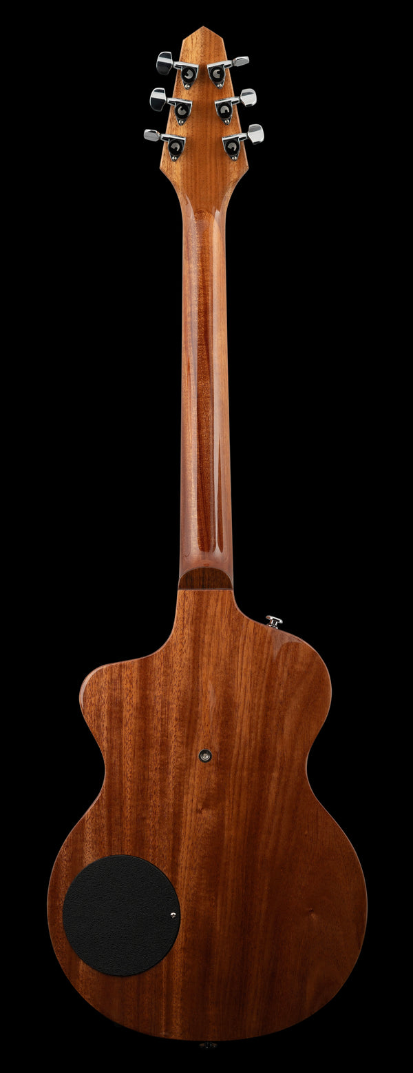 Rick Turner Model 1 Custom