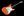 Tom Anderson Icon Classic