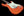 Tom Anderson Icon Classic