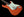 Tom Anderson Icon Classic