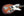 Novo Serus J - Mayan Burst