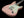 Suhr Mateus Asato Signature Classic S - Shell Pink