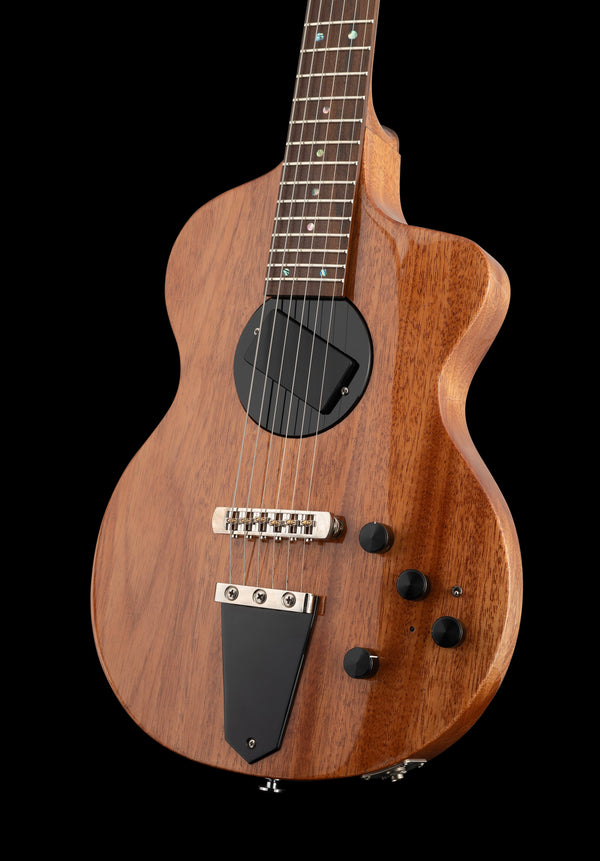 Rick Turner Model 1 Custom