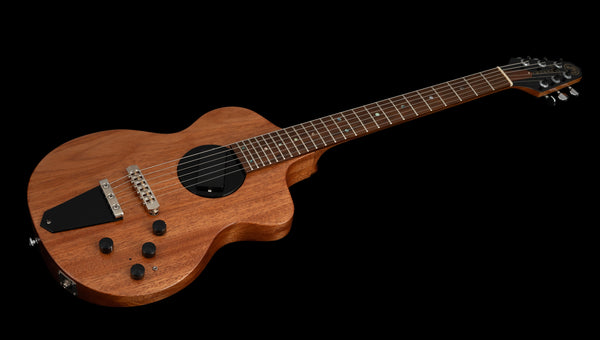 Rick Turner Model 1 Custom