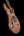 PRS Custom 24 Hollow Wood Library