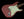 Fender Custom Shop Limited NAMM 1963 Stratocaster Journeyman Relic