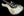 Fender Custom Shop Limited Poblano Strat Super Heavy Relic