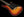 Suhr Custom Classic S