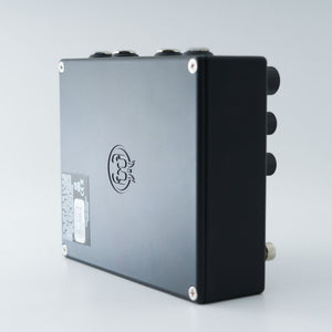Walrus Audio Qi Etherealizer Black