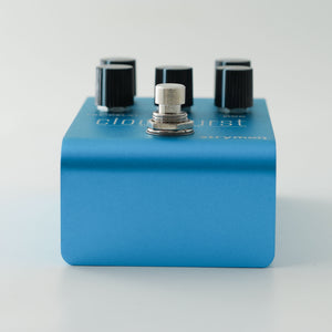 Strymon Cloudburst