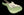 Mario Martin S-Style - Avocado Mist