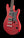 Tom Anderson Wolfhound