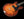 Collings I-30 LC
