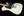 Tom Anderson T Icon Contoured