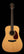 Collings D2H