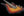 Novo Idris HSS - 64 3 Tone Burst