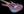 Suhr Custom Modern - Prism