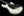 Ernie Ball Music Man Steve Morse Signature Hardtail