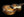 Hofner 500/1 V63 Violin Reissue Bass