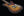 Shabat Lion Standard - Tobacco Burst