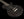 Collings 290