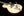 Gretsch G6128CS Masterbuilt by Stephen Stern