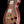 Tom Anderson Bobcat