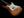 Fender Rarities Flame Maple Top Thinline Stratocaster