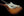 Fender Rarities Flame Maple Top Thinline Stratocaster