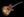 Novo Miris J - 3 Tone Sunburst