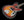 Novo Miris J - 3 Tone Sunburst