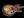Novo Miris J - 3 Tone Sunburst