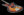 Novo Miris J - 3 Tone Sunburst