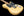 Danocaster Single Cut Blackguard