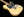 Danocaster Single Cut Blackguard