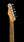 Danocaster Single Cut Blackguard