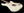 Xotic California Classic XSCPRO-2 Olympic White