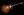 Tom Anderson Bobcat