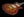 Tom Anderson Bobcat