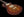 Tom Anderson Bobcat