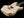 Friedman Vintage-S - HSS - Aged White on 3 Tone Burst