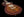 Tom Anderson Bobcat