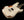 Friedman Vintage-S - HSS - Aged White on 3 Tone Burst