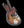 Novo Miris J - 3 Tone Sunburst