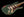 Shabat Lynx - British Racing Green