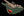 Shabat Lynx - British Racing Green