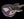 Novo Serus J - Purple Stranger Sparkle